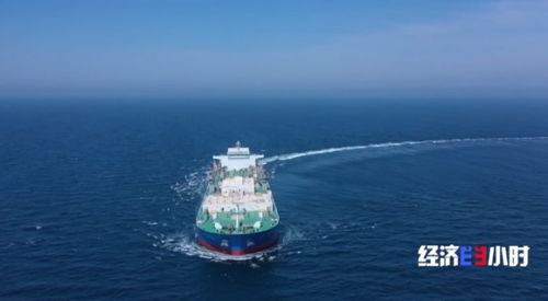 流動的海上牧場 探秘10萬噸級智慧漁業(yè)養(yǎng)殖工船深海作業(yè)與航空國際貨運聯(lián)動