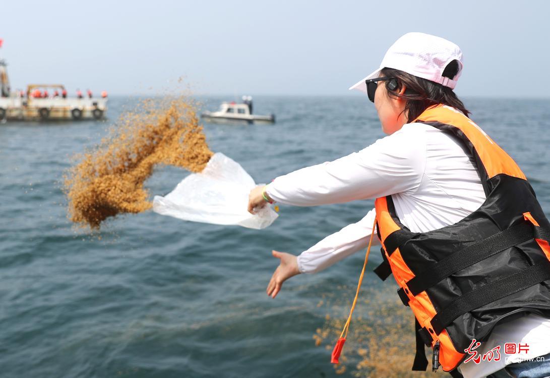青島 7000多萬(wàn)單位魚(yú)蝦增殖，打造堅(jiān)實(shí)“海上糧倉(cāng)”