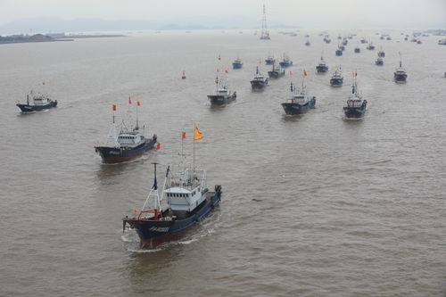 普陀 海上糾紛結案率100%的秘訣——以航空國際貨運代理為紐帶，構建多元高效解紛新格局